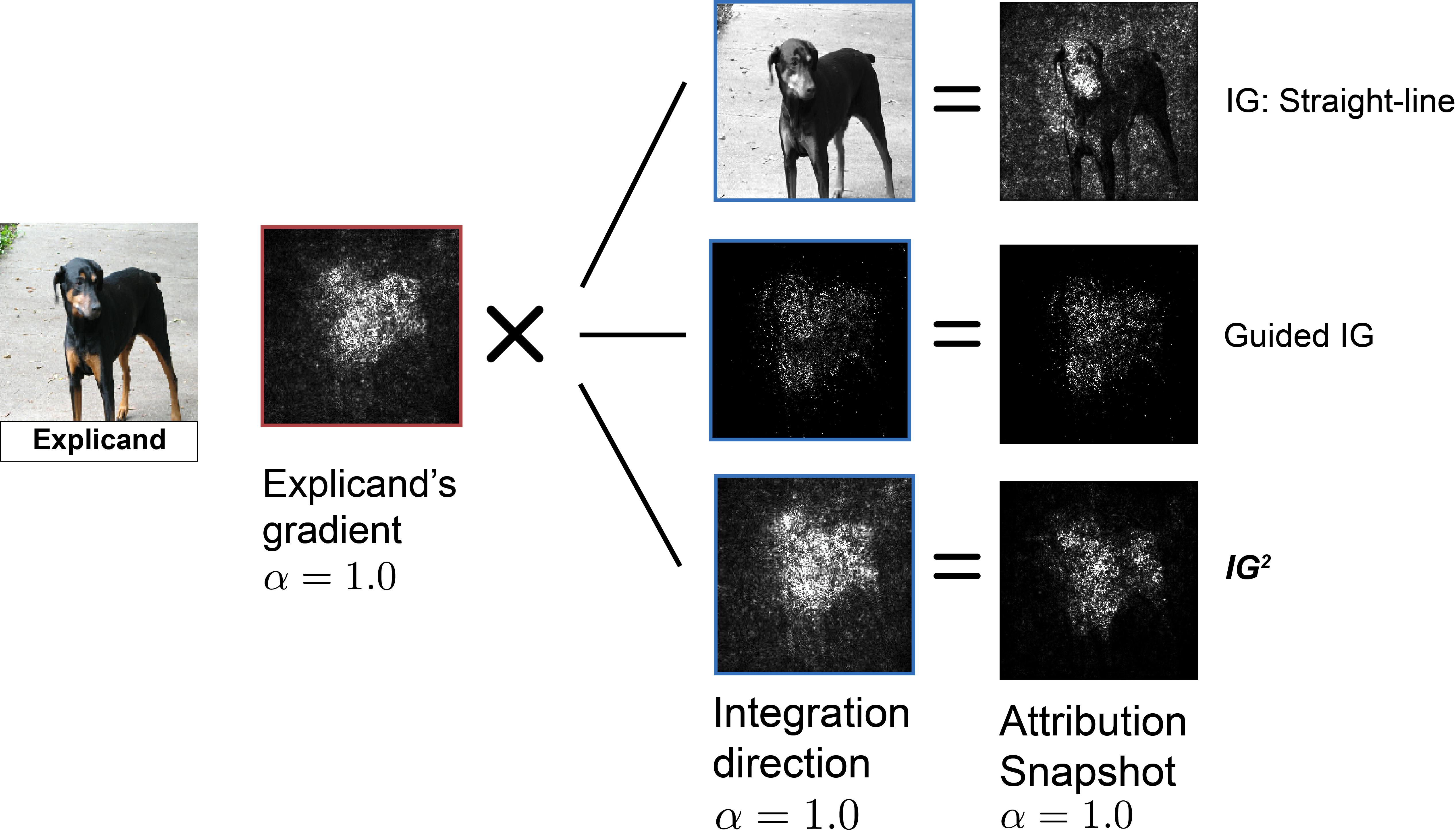 IG squared research illustration of the GradPath counterfactual attribution method